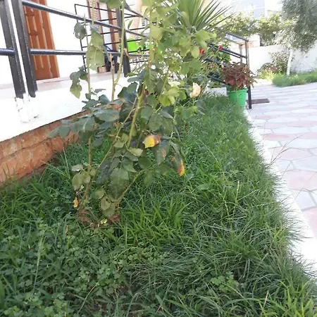 Sueda Penzion *